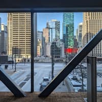 Chicago: Tour guidato a piedi del Pedway sotterraneo e del Loop, Chicago