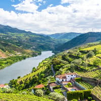 Historic Douro Valley Guided Tour with 1-Hour Pinhão Cruise, Traditional Lunch & Wine Tastings — gallery 4