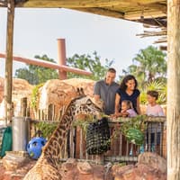ZooTampa at Lowry Park: Fast Track Ticket — gallery 3