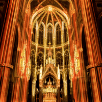 Vienna: Light of Creation Votivkirche — gallery 1