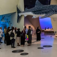 National Museum of Qatar: Entry Ticket + Audio Guide — gallery 2