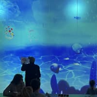 Metartworld Admission — gallery 2