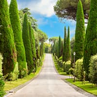 Castel Gandolfo Full Experience with Eco-Minibus Tour of Pontifical Gardens — gallery 2