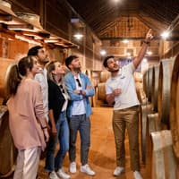 From Madrid: Toledo Day Trip with Vineyard Experience — gallery 1