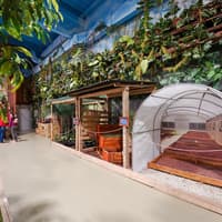 Chocolate Factory Tour — gallery 4