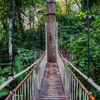 Hanuman World A+ Combo: 32 Zipline Platforms + Roller Zipline + Sky Walk + Meal with Round-Trip Transfers — gallery 4