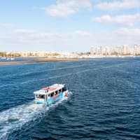 Aquaduck Gold Coast City and River Tour — gallery 3