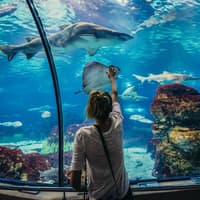 Hurghada Grand Aquarium: Entry Ticket + Roundtrip Transport — gallery 2