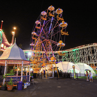 Luna Park Melbourne Unlimited Rides Tickets — gallery 1