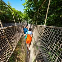 Rainforest Wild ASIA Bundle Packages — gallery 1