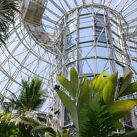 San Antonio Botanical Garden: Entry Ticket, San Antonio Botanical Garden, San Antonio