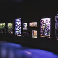 Cairns Aquarium: Entry Ticket — gallery 3