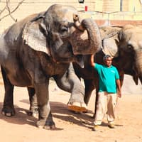 Emirates Park Zoo Tickets — gallery 1