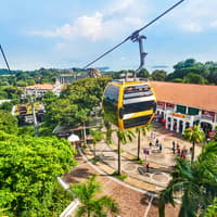 Singapore Cable Car SkyPass with Meals at Arbora Cafe — gallery 5
