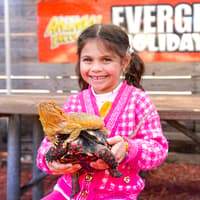 Miami: Everglades Holiday Park Animal Encounter Experience Tickets — gallery 1