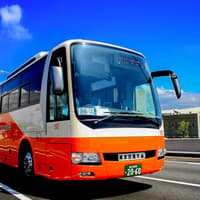 Bus Transfer: Haneda Airport to/from Tokyo by Airport Limousine — gallery 2