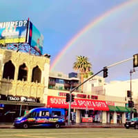 Hollywood: Night Star Tour — gallery 2