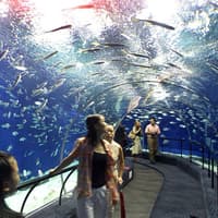 Hurghada Grand Aquarium: Entry Ticket + Roundtrip Transport — gallery 3