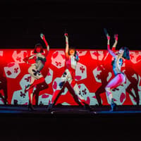 Crazy Horse Paris: Show Only — gallery 2