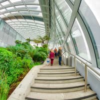 Sky Garden Early Access Tickets with Coffee & Croissant — gallery 3
