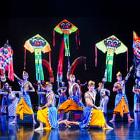 Devdan Show Tickets for Foreign Travelers — gallery 1