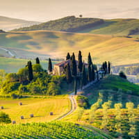 Full-Day Tour of Val D’Orcia — gallery 5