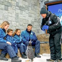 Ski Dubai: Snow Premium Tickets with Penguin Encounter — gallery 3