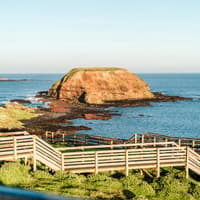 From Melbourne: Half/Full-Day Phillip Island Day Trip with Penguin Parade — gallery 1