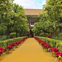 Tickets to Palacio de las Dueñas with Audio Guide — gallery 4