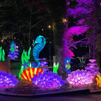 Zoo Atlanta: IllumiNights — gallery 1