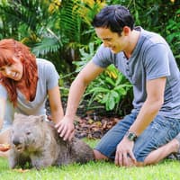 From Brisbane: Australia Zoo Tickets with Transfers — gallery 2