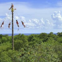 Xcaret Park: Entry Ticket — gallery 1