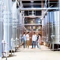 Toledo: City & Winery Tour from Madrid + Wine Tasting — gallery 3