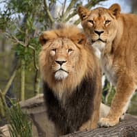 ARTIS Amsterdam Royal Zoo & Micropia: Skip The Line Entry Ticket — gallery 3