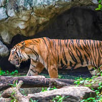 Safari World + Marine Park Tickets with Lunch and Optional Transfers — gallery 2