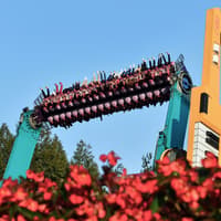 Everland Theme Park Tickets — gallery 1
