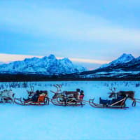 Reindeer Sledding & Sami Culture Guided Tour with Hot Drinks & Meal — gallery 4