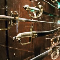 Musée de l'Armée-Les Invalides: Introduction to World Wars I & II - Small Group — gallery 3