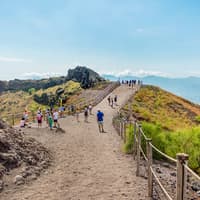 From Naples: Mount Vesuvius Entry Tickets with Round-Trip Transfers — gallery 1