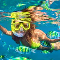 From Phuket: Phi Phi Island & Maya Bay Tour by Catamaran with Lunch & Hotel Transfers — gallery 2