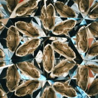 Rome Museum of Illusions — gallery 2