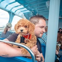 Chicago: Canine Cruise — gallery 3