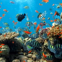 Underwater World Pattaya — gallery 1