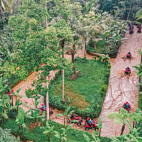 Ubud: ATV Adventure with Sacred Monkey Forest & Tegalalang Rice Terrace — gallery 4