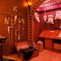بلیط ورود به نمایشگاه تعاملی وایکینگ‌ها, The Viking Immersive Exhibition, Rouen