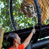Bali Zoo Entry Tickets — gallery 5