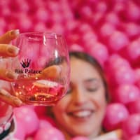WOW Porto: 2-Day Pass — gallery 2