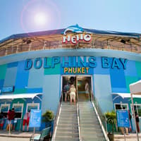 Phuket Dolphin Show Tickets: Foreigners — gallery 1