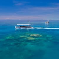 Michaelmas Cay Great Barrier Reef Sailing Cruise from Cairns — gallery 1