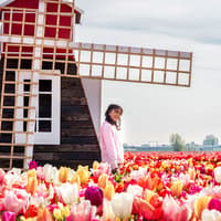 Tulip Experience Tickets with Tulip Fields Visit and Optional Transfers from Amsterdam — gallery 3